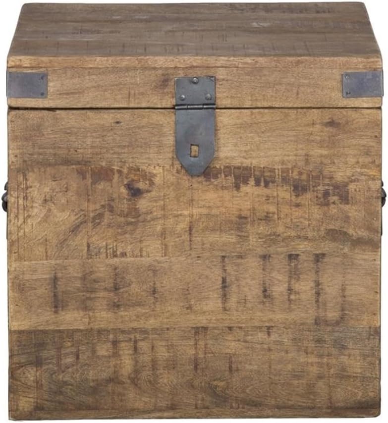 Natural Mango Wood Iron Square Trunk