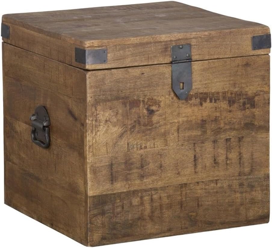 Natural Mango Wood Iron Square Trunk